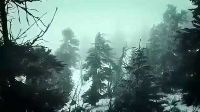 душевное видео на стих Лечи Мусаева ( автор неизвестен) смотреть онлайн