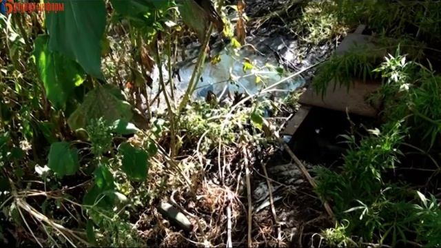 Нанимайте, ищите людей, кто будет на вас работать! смотреть онлайн