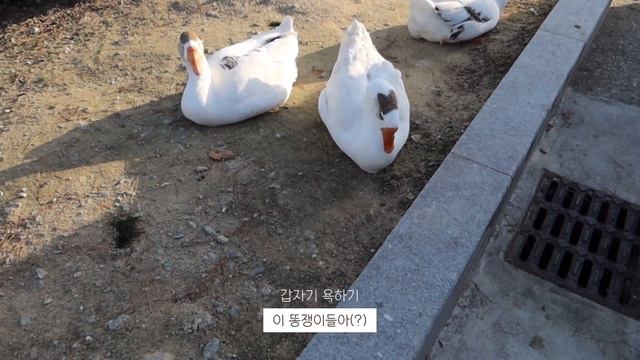 의대생 VLOG | 2021 마지막 시험 | 책상 정리 | 대전 나들이 | 다이어트에 대한 생각