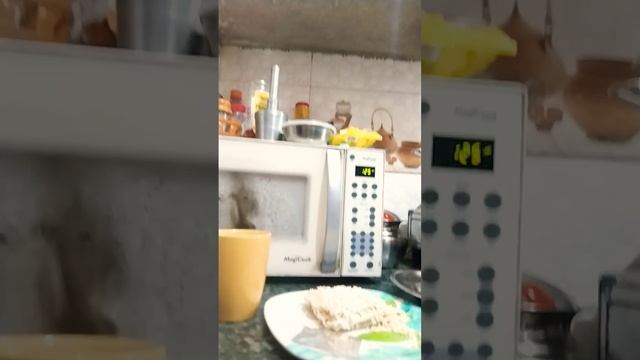 microwave meggi