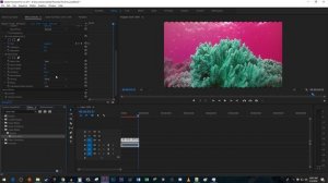 Premiere Pro CC : How to do Wave Effect