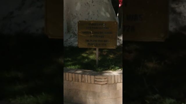 Узбекистан в Самарканде Экскурсия Хужа Ахрори Вали Медресе смотреть онлайн