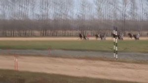 Конные бега на ипподроме в России