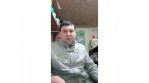 Куры несушки как бизнес. Несушка с птицефабрики.