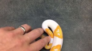 Американец вывел питона со смайликами на коже