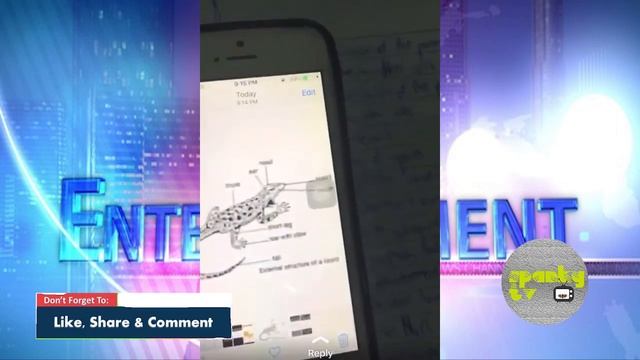 Owww, SHS Students React After Writing Wassce First Paper смотреть онлайн