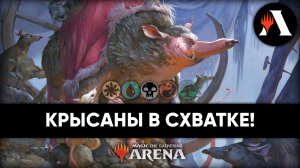 ? Трибал на Крысах! | Схватка MTG Arena | Wilds of Eldraine ?