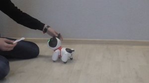 Собака-робот Дюк на инфракрасном управлении.