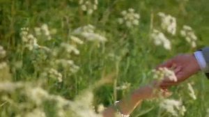 АНДРЕЙ ЧЕРКАСОВ - МАЛОЛЕТКА