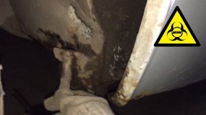 Мой "новый" Москвич 2141 / Восстановление / москвичевлог #1