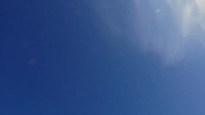 Бакинские Голуби в ДЕЛЕ ,мраморные шейки,белые окбаши  (голуби Саши Афганца август часть- 2)