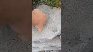 Уходим по одному,если что,мы геологи.