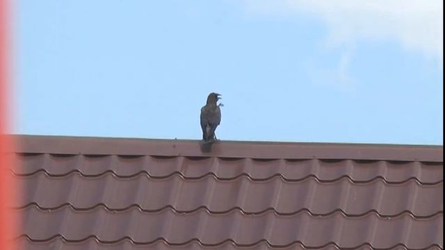 Монтаж купола юрты смотреть онлайн