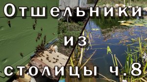 Вынужденные реформы в нашем хозяйстве. Отшельники из столицы 8 часть.