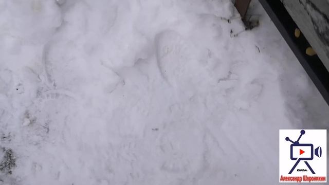 Готовим шеи индейки зимой в тандыре. смотреть онлайн