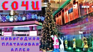 В Сочи сегодня на предновогодней Платановой аллее часть 3