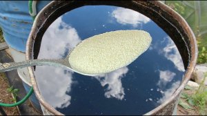 1 ложка на ведро воды и земля будет как новая, плодородная, урожайная. Проливаю этим землю осенью