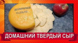 Домашний твердый СЫР на закваске* Рецепт* Дегустация/ Homemade hard CHEESE