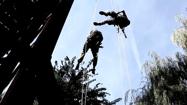 ДІЯ Львівщини провела вишкіл з промислового альпінізму смотреть онлайн