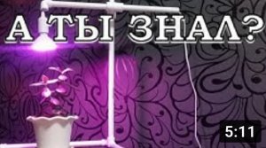 ПОДСТАВКА для ФИТОЛАМПЫ своими руками быстро, просто и дешево!???