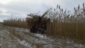 Комбайн для заготовки камыша.