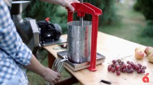 Пресс винтовой для отжима сока VP-5s из яблок, винограда, фруктов, ягод