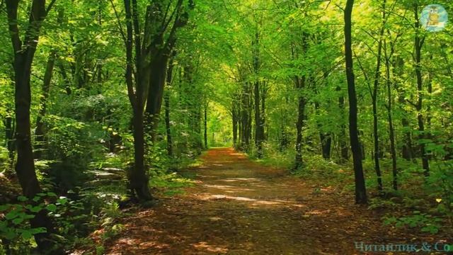Заяче сало – українська народна казка