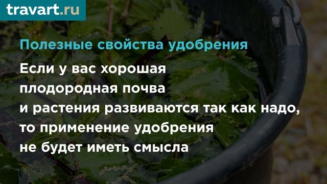 Органическое удобрение из Крапивы. СУПЕР УДОБРЕНИЕ
