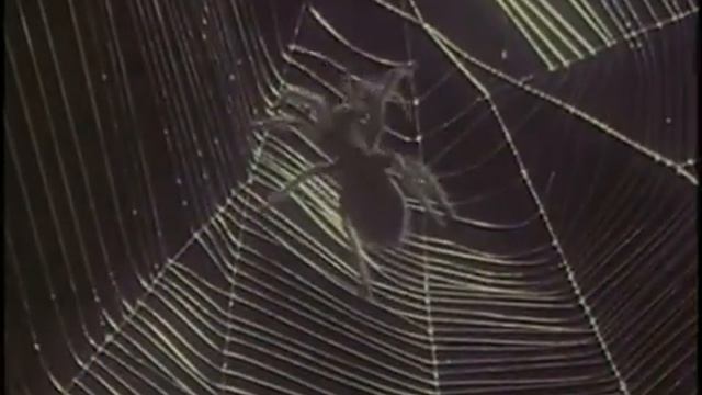 Pink Floyd - Take It Back.mp4 смотреть онлайн