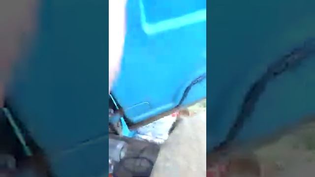 Отпугивание ворон звуками хищьных птиц ?