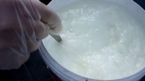 СУПЕР СРЕДСТВО! ОТ ГУСЕНИЦ И ТЛИ НА КАПУСТЕ! Народный метод борьбы с тлей и гусеницами на капусте!