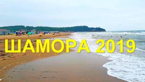 Шамора 2019 - Владивосток - 10 августа - база отдыха Лазурный берег