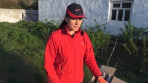 Заказ Саженцев через Интернет с АГРО-МАРКЕТА + Отзыв о Малиновом Дереве