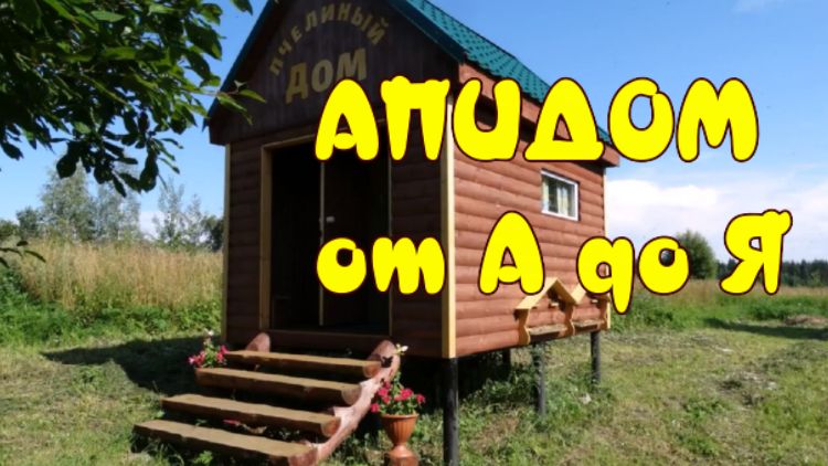АПИДОМ от А до Я. (Bee Hut from A to Z ) смотреть онлайн