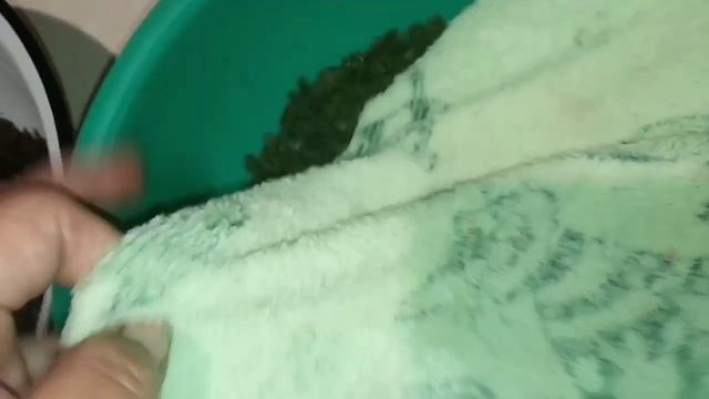 Ферментация листьев малины и мяты