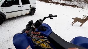 Polaris Trailblazer 250