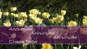 Христианское поклонение. Сборник №48