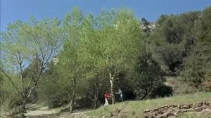 Сумасшедшие на стадионе