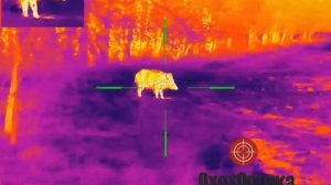 ?#тепловизор #guide #tu650 ?#nighthunter