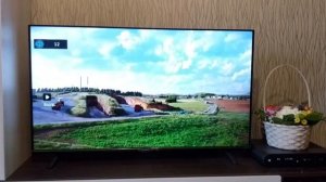 Обзор Телевизора 40" SKYWORTH 40E20 FullHD