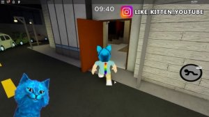 ? СЕКРЕТ ПИГГИ 9 ГЛАВА в РОБЛОКС ДЕЛАЮ КОНЦОВКУ ПРОТИВ PIGGY ROBLOX КОТЁНОК ЛАЙК и RED CAT