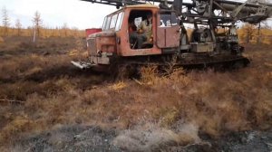 Работа, тайга, комары