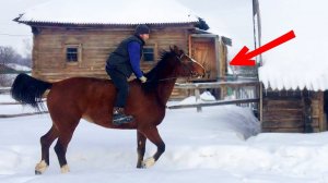 ПОСАДИЛА МУЖА БЕЗ СЕДЛА И НАЧАЛОСЬ. ОТ ЗАБОРА НИ ЧЕГО НЕ ОСТАЛОСЬ.  ЖИЗНЬ ПРОСТЫХ ЛЮДЕЙ В ДЕРЕВНЕ