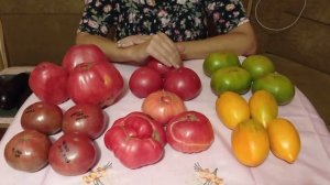 Томаты: Черно - голуб. Хребет; Загадка Долины Роз; Горы Ливанские; Золот. Кенигсберг; Черн. Ананас.