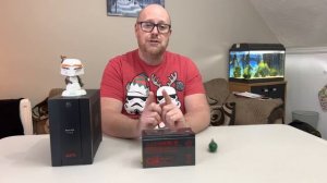 APC BACK UPS 700 BX700UI battery replacement | RBC17