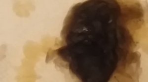 Отливка на Воск.  На себя по фото