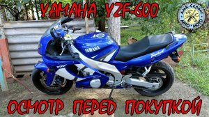 Oсмотр перед покупкой  Yamaha YZF600 Thundercat