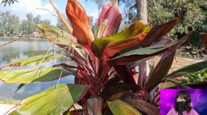 Санитарка оцепенела, увидев в реанимации, бросившего её, жениха-миллионера. Но подойдя к нему...