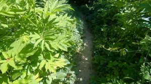 Деревня дольменов. Пшада. Исцеляющие дольмены