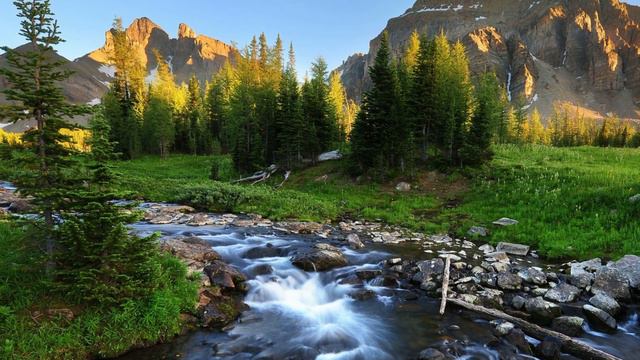 Упрятав свекровь в дом престарелых,невестка обживала ее квартиру.Но бабушка оказалась не так проста смотреть онлайн